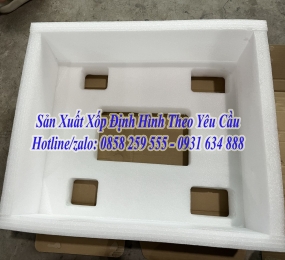 Khay Xốp Định Hình Ở Biên Hoà, Đồng Nai