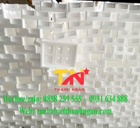 Khay Xốp Đựng Yến Ở Biên Hoà, Đồng Nai