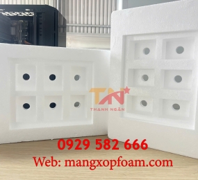 Khuôn Khay Xốp EPS Định Hình Tại KCN Sóng Thần