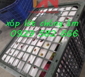 Xốp Foam Lót Dưa Hấu Ở Đồng Nai