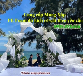 Mút Xốp Foam dùng cho các ngành chủ lực điện tử 
