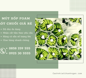 Mút Xốp Pe Foam Lót Chuối Giá Rẻ Tại Đồng Nai 
