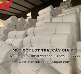 Mua Tấm Mút Xốp Pe Foam Tại KCN Biên Hòa 
