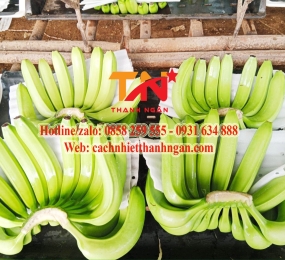 Tấm Xốp Pe Foam Đục Lỗ Lót Trái Cây Giá Sỉ Tại Kho