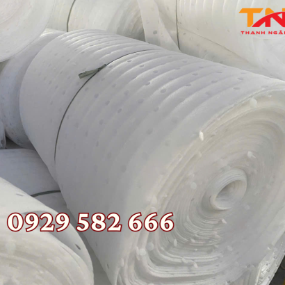 Màng Xốp PE Foam 20mm Tại Biên Hoà Đồng Nai 