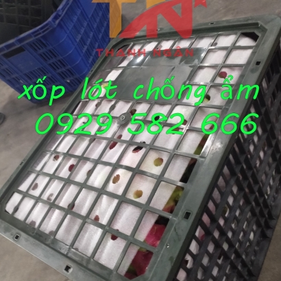 Mút Xốp Lót Chuối Xuất Khẩu Ở Đồng Nai 