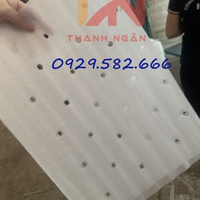 MÀNG LÓT DƯA HẤU PE FOAM TẠI ĐỒNG NAI