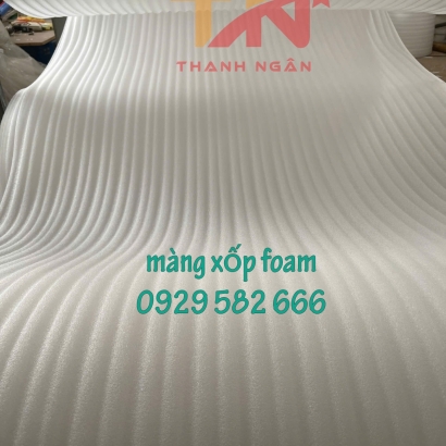 Màng Mút Xốp Foam Đóng Gói Dâu Tây Tại Thủ Đức