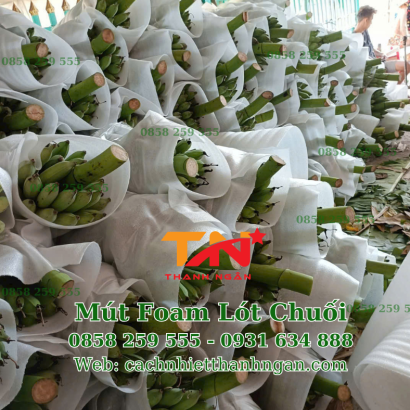 Mua Tấm Mút Xốp Pe Foam Tại KCN Biên Hòa 