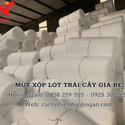 Mua Tấm Mút Xốp Pe Foam Tại KCN Biên Hòa 