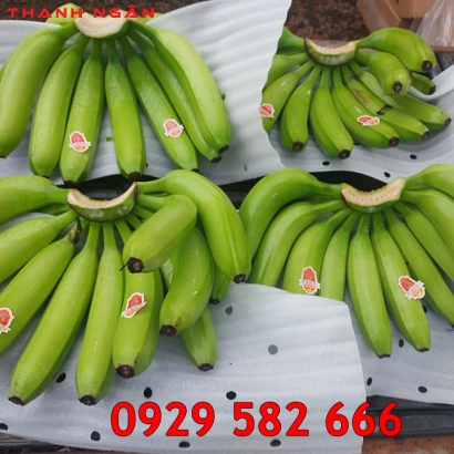 Mút Xốp Lót Chuối Xuất Khẩu Ở Đồng Nai 