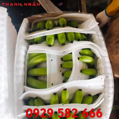 Mút Xốp Lót Chuối Xuất Khẩu Ở Đồng Nai 
