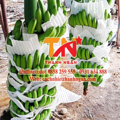 Tấm Xốp Pe Foam Đục Lỗ Lót Trái Cây Giá Sỉ Tại Kho