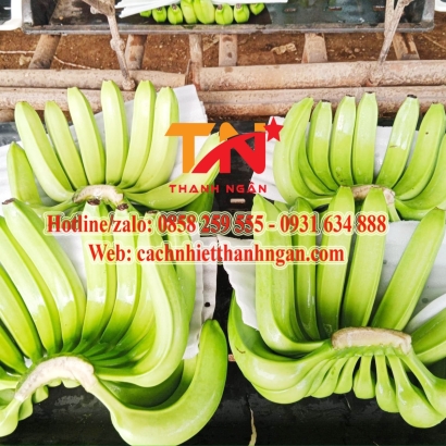 Tấm Xốp Pe Foam Đục Lỗ Lót Trái Cây Giá Sỉ Tại Kho