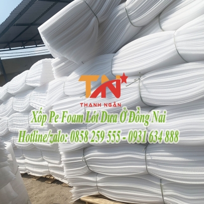 Tấm Xốp Pe Foam Đục Lỗ Lót Trái Cây Giá Sỉ Tại Kho