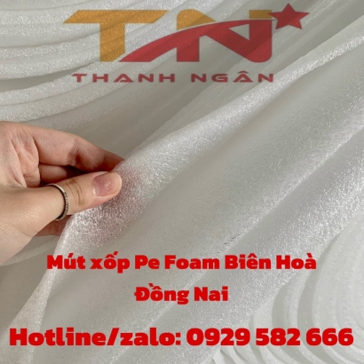 Miếng lót chén đĩa tại Đồng Nai - 0929582666